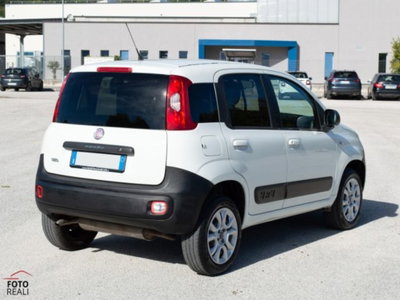 Fiat Panda 1.3 MJT S&S 4x4 Pop Climbing Van 2 posti (6)