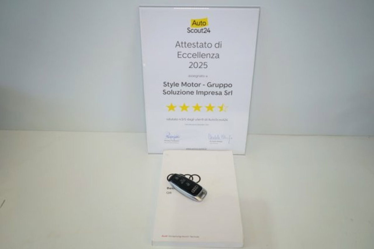 Audi RS Q8 Q8 4.0 mhev quattro tiptronic (15)