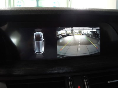 Alfa Romeo Stelvio Stelvio 2.2 Turbodiesel 160 CV AT8 RWD Super Business (11)