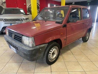 Fiat Panda 1100 i.e. cat College usata
