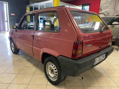 Fiat Panda 1100 i.e. cat College (2)