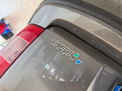 Fiat Panda 1.4 Active Natural Power (15)