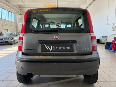 Fiat Panda 1.4 Active Natural Power (5)