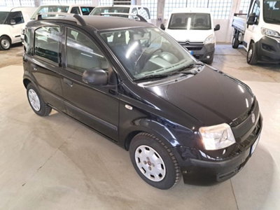 Fiat Panda 1.2 Dynamic (4)