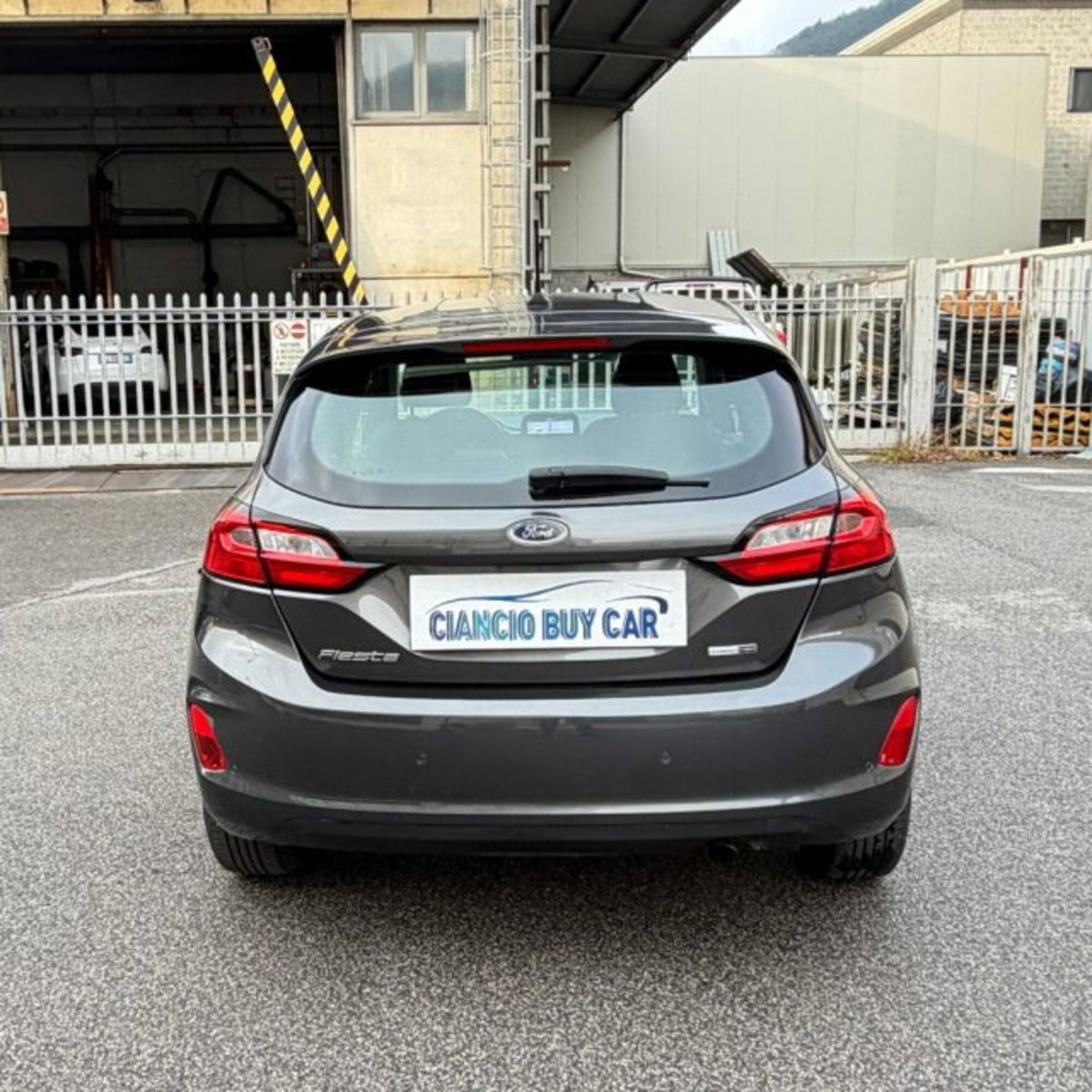 Ford Fiesta 1.0 Ecoboost Hybrid 125 CV DCT 5 porte Active (3)