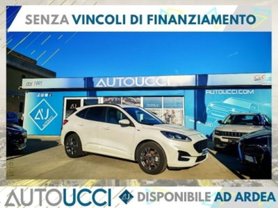Ford Kuga 1.5 EcoBoost 150 CV 2WD ST-Line nuova
