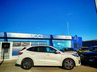 Ford Kuga 1.5 EcoBoost 150 CV 2WD ST-Line (2)