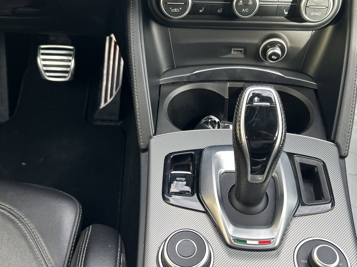 Alfa Romeo Stelvio Stelvio 2.0 Turbo 280 CV AT8 Q4 Estrema (10)