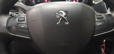 Peugeot 208 75 5 porte Active (5)