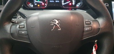 Peugeot 208 75 5 porte Active (5)