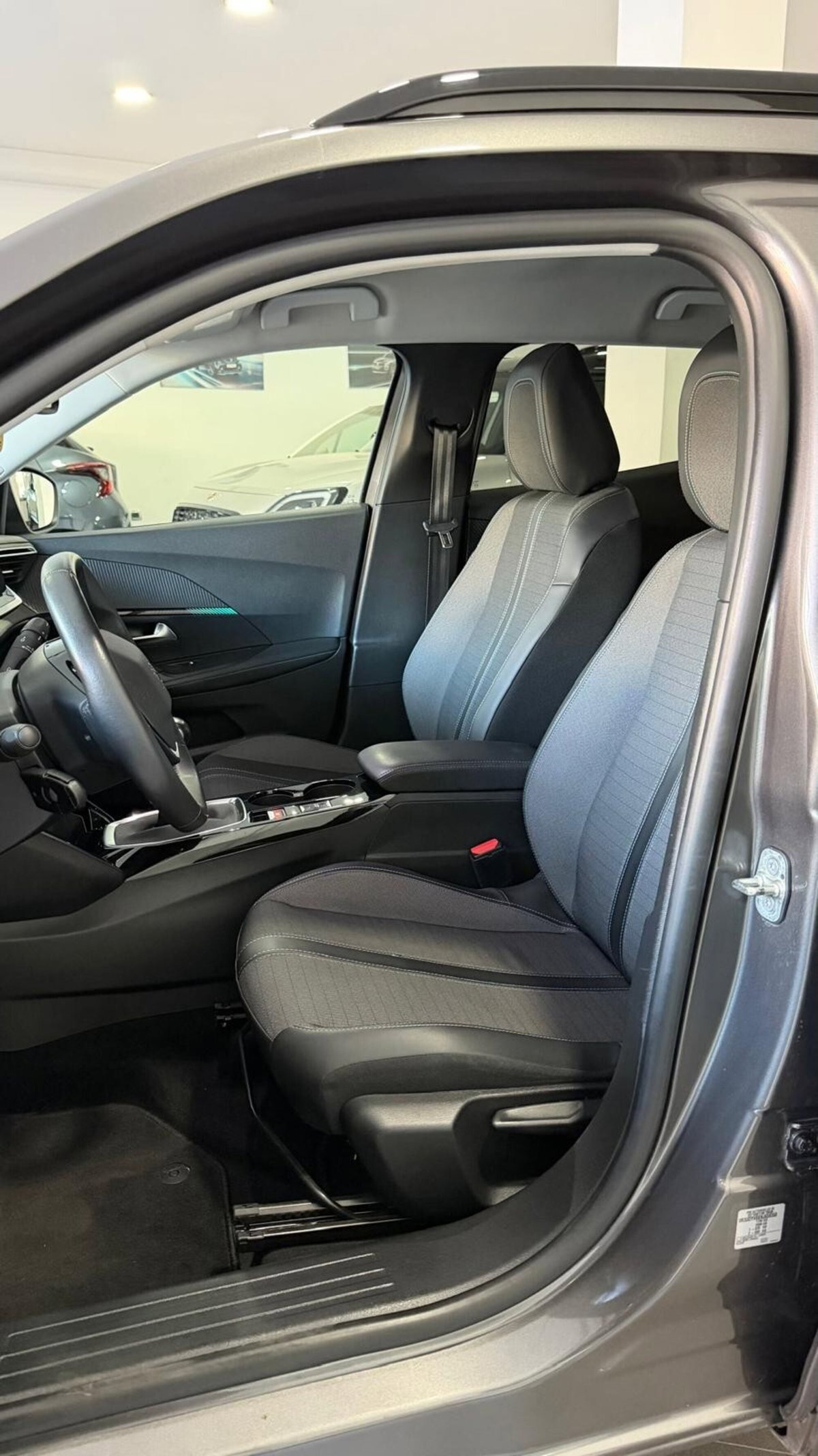 Peugeot 2008 BlueHDi 110 S&S Allure (20)