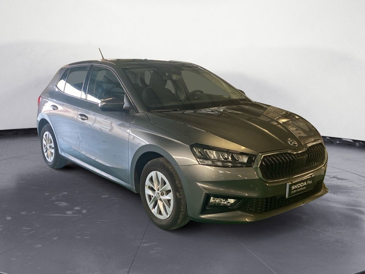 Skoda Fabia 1.0 MPI EVO 80 CV Style (3)