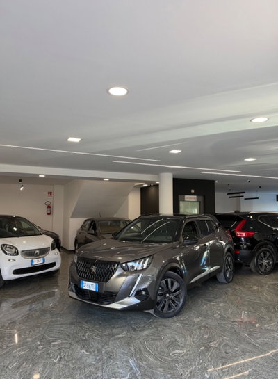 Peugeot 2008 BlueHDi 130 S&S EAT8 GT Pack usata