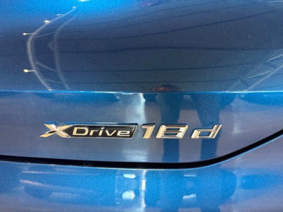 BMW X2 xDrive18d Business-X (8)