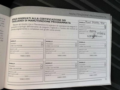 Fiat Punto Evo 1.4 3 porte Active (18)