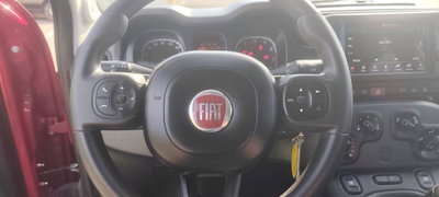 Fiat Panda Cross Cross 1.0 FireFly S&S Hybrid (9)