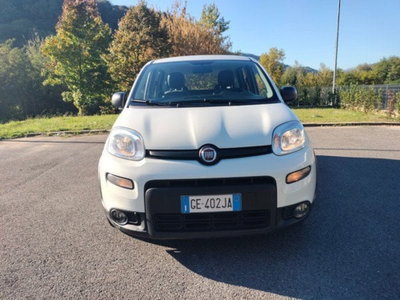 Fiat Panda Cross Cross 1.0 FireFly S&S Hybrid (2)