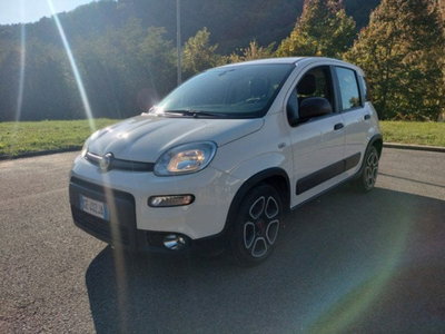 Fiat Panda Cross Cross 1.0 FireFly S&S Hybrid (3)