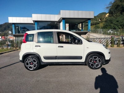 Fiat Panda Cross Cross 1.0 FireFly S&S Hybrid (4)