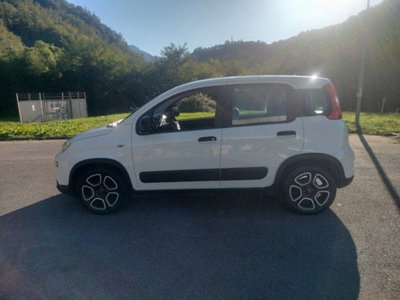 Fiat Panda Cross Cross 1.0 FireFly S&S Hybrid (5)