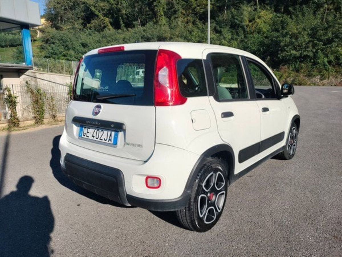 Fiat Panda Cross Cross 1.0 FireFly S&S Hybrid (6)