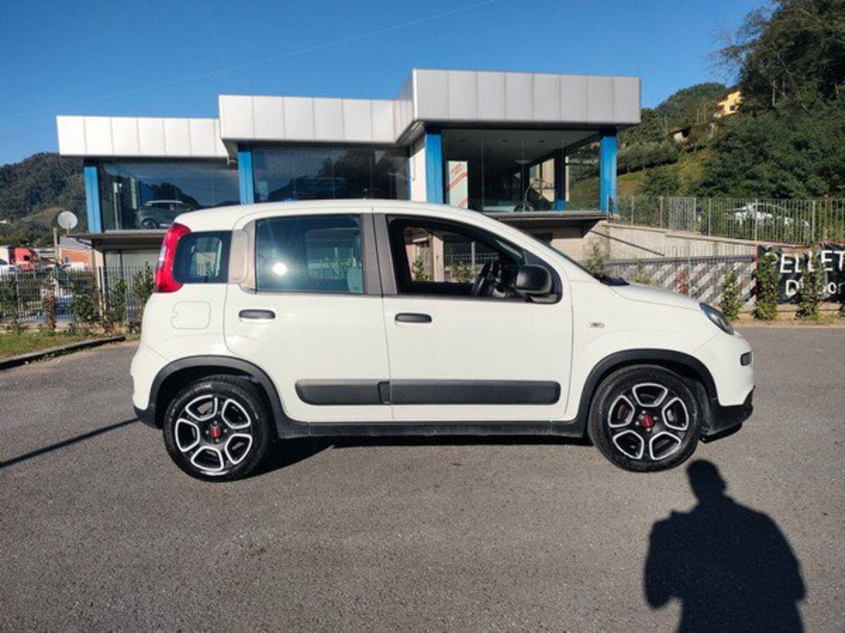 Fiat Panda Cross Cross 1.0 FireFly S&S Hybrid (4)