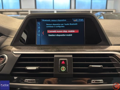 BMW X3 xDrive25d Luxury (12)