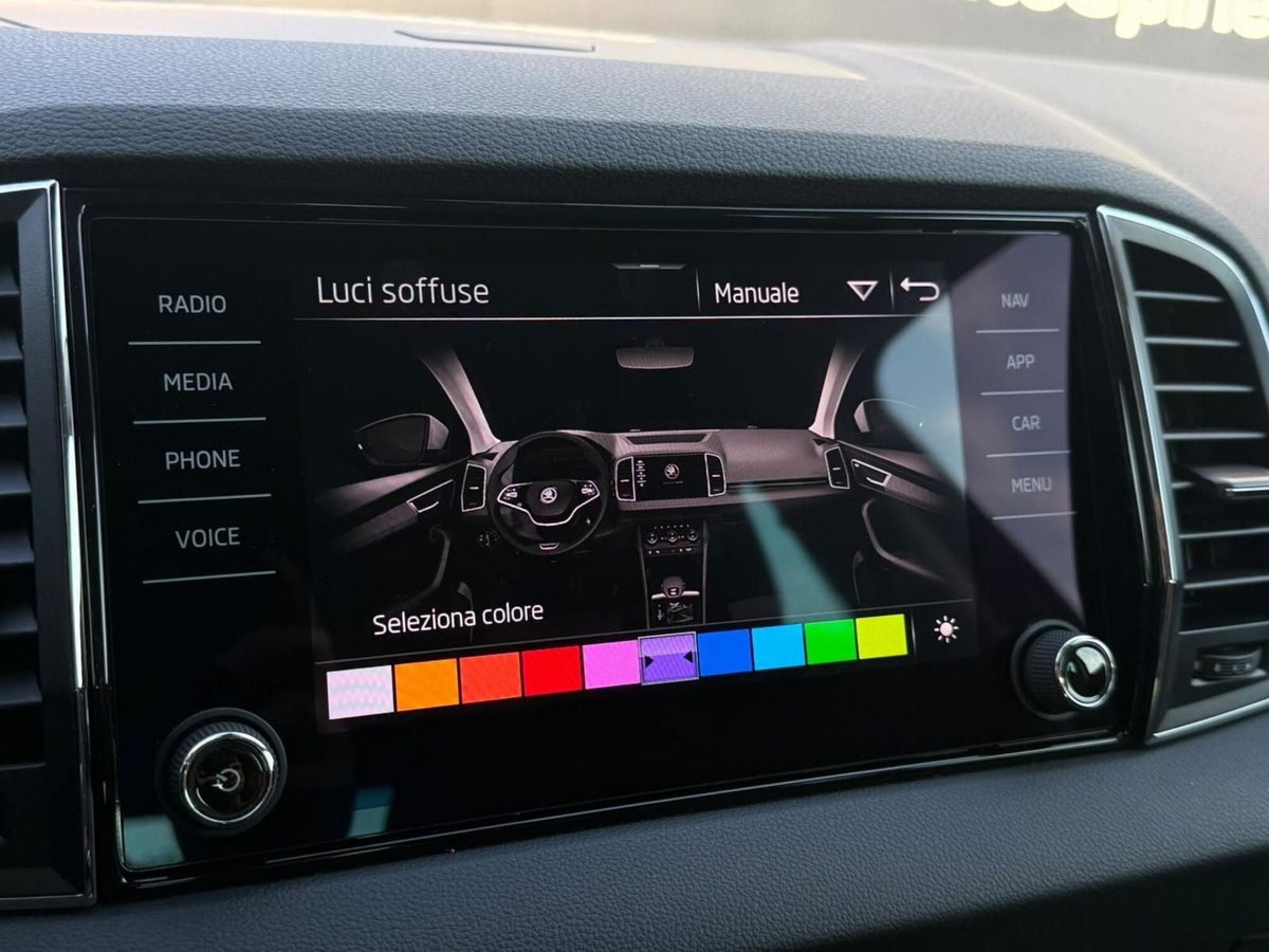 Skoda Karoq 2.0 tdi evo Style 115cv (10)