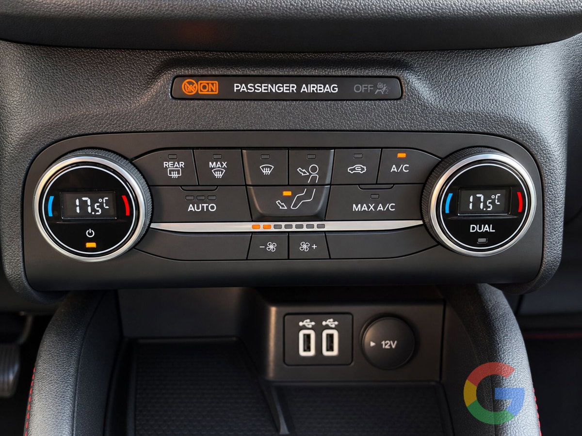 Ford Kuga 1.5 EcoBlue 120 CV 2WD ST-Line (13)