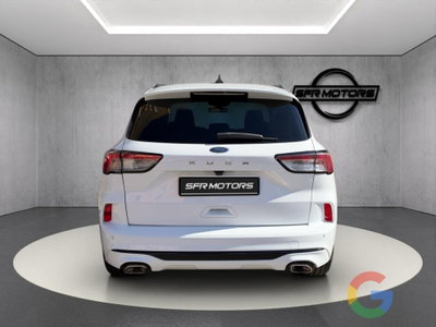 Ford Kuga 1.5 EcoBlue 120 CV 2WD ST-Line (5)