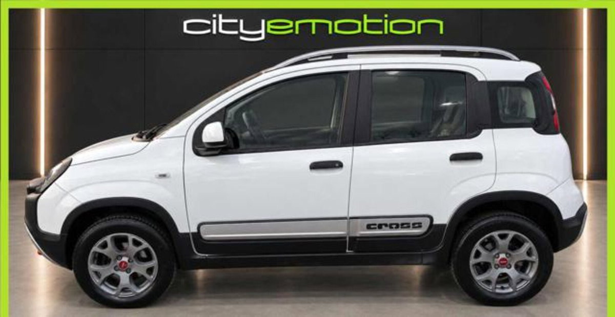 Fiat Panda Cross Cross 0.9 TwinAir Turbo S&S 4x4 (3)