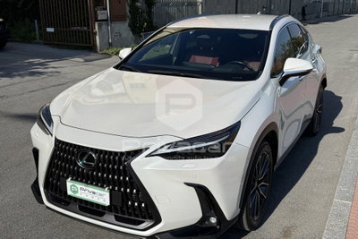 Lexus NX Hybrid 4WD Luxury usata