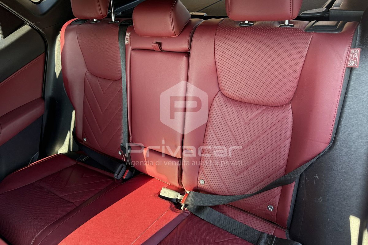 Lexus NX Hybrid 4WD Luxury (13)