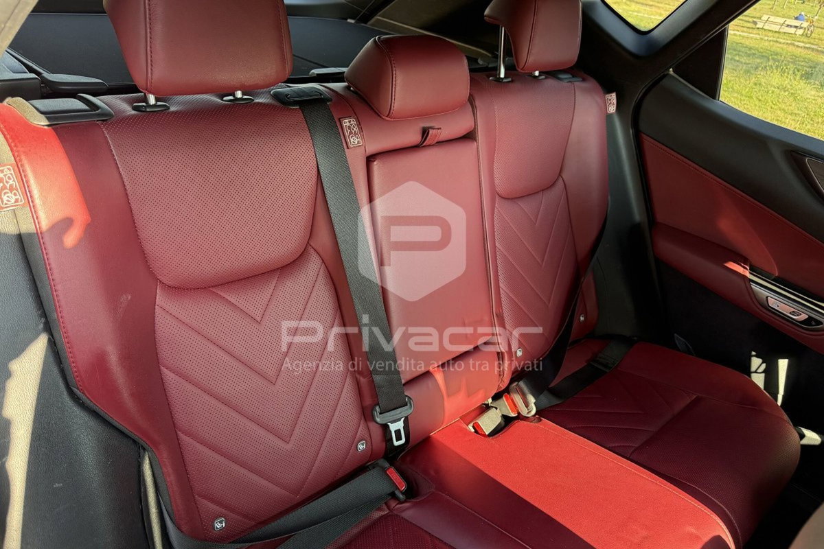 Lexus NX Hybrid 4WD Luxury (14)