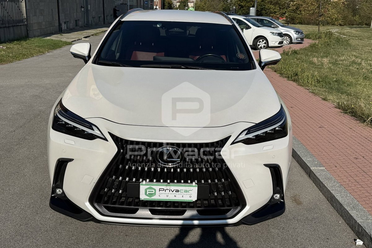 Lexus NX Hybrid 4WD Luxury (2)