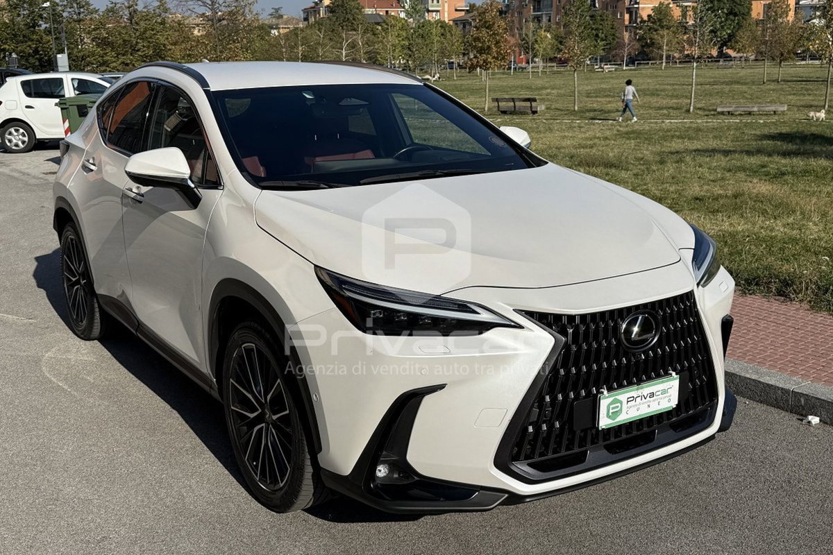 Lexus NX Hybrid 4WD Luxury (3)