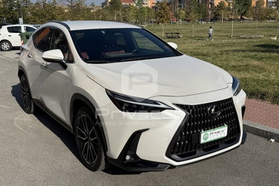 Lexus NX Hybrid 4WD Luxury (3)