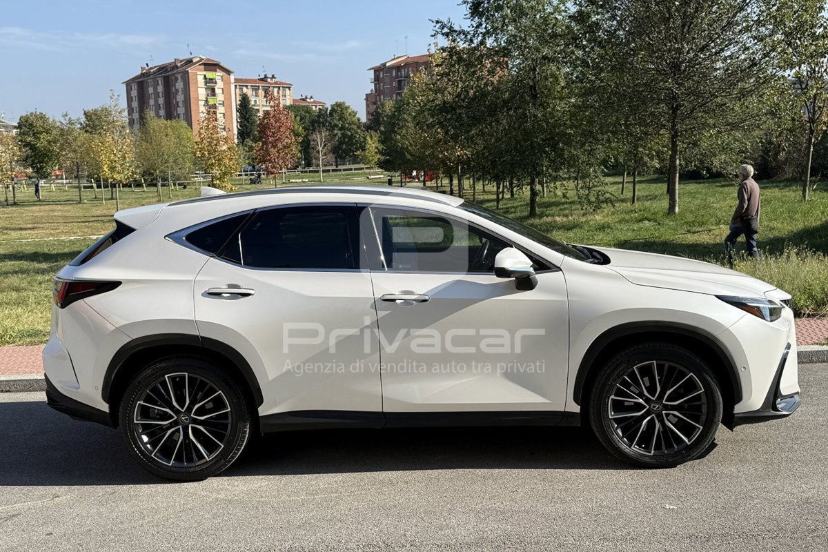 Lexus NX Hybrid 4WD Luxury (4)