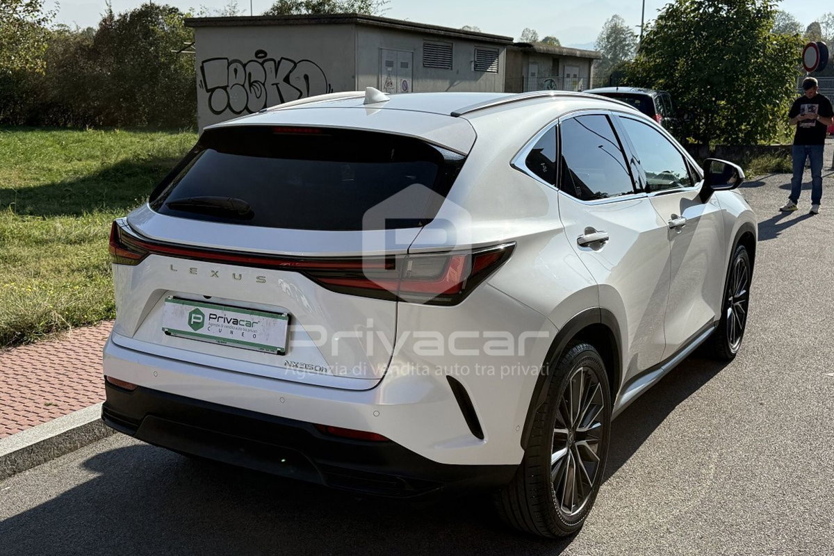 Lexus NX Hybrid 4WD Luxury (5)