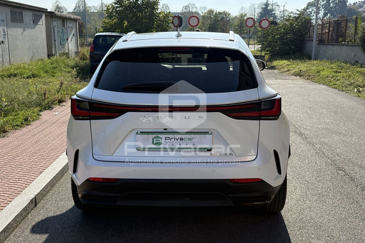 Lexus NX Hybrid 4WD Luxury (6)
