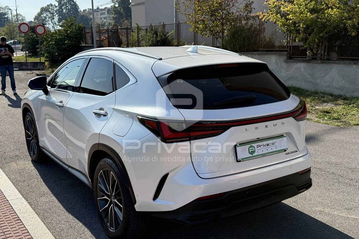 Lexus NX Hybrid 4WD Luxury (7)