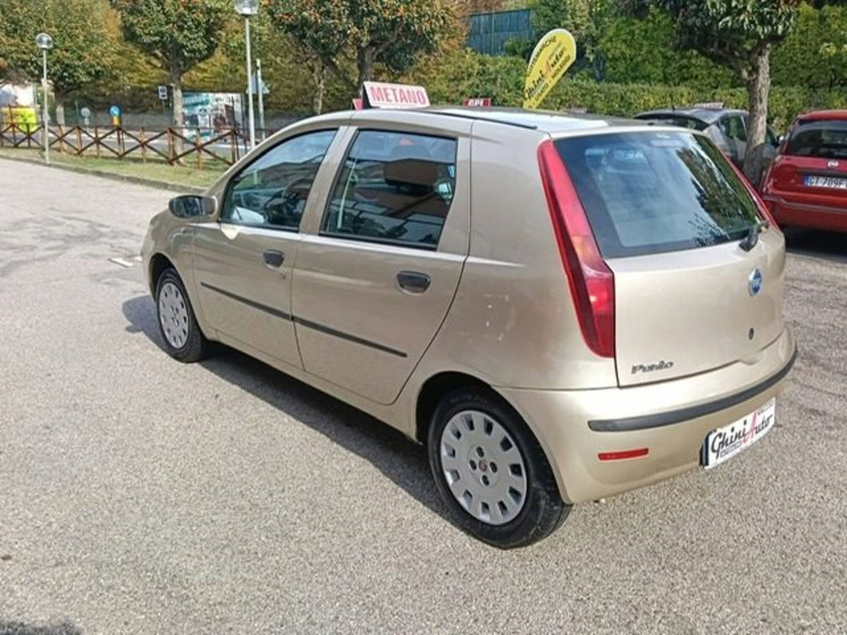Fiat Punto Classic 1.2 5 porte Natural Power (8)