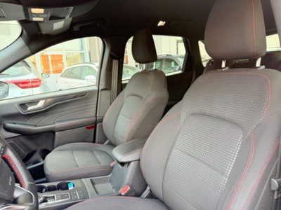 Ford Kuga 1.5 EcoBlue 120 CV aut. 2WD ST-Line X Design (7)