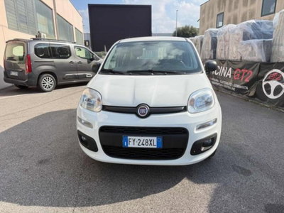 Fiat Panda 1.2 Easy (3)