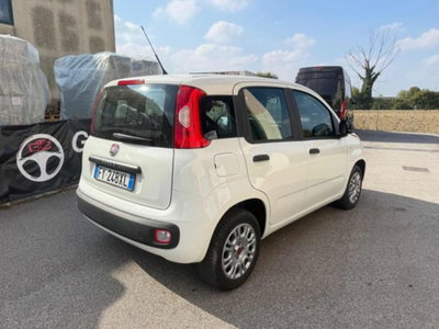 Fiat Panda 1.2 Easy (7)