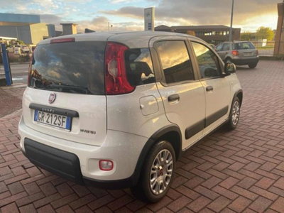 Fiat Panda van 1.0 hybrid Street 70cv 4p.ti serie 4 E6d (2)