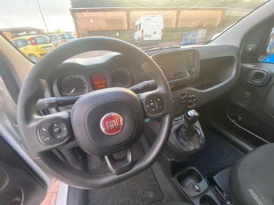 Fiat Panda van 1.0 hybrid Street 70cv 4p.ti serie 4 E6d (4)
