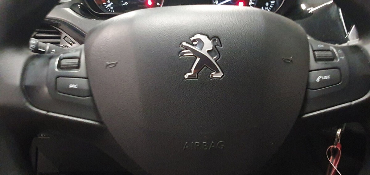 Peugeot 208 75 5 porte Active (5)