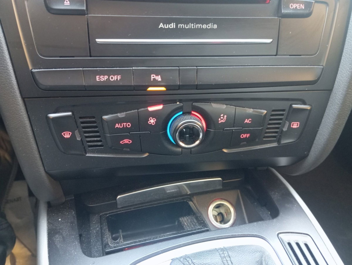 Audi A4 Avant 2.0 TDI 143CV F.AP. multitronic Advanced (18)