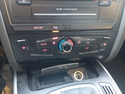 Audi A4 Avant 2.0 TDI 143CV F.AP. multitronic Advanced (18)